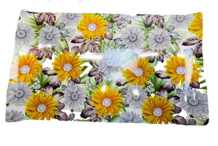 12027