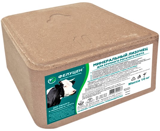 c5n0k58tf3g4k1kn2wa2tzj86yjn934o