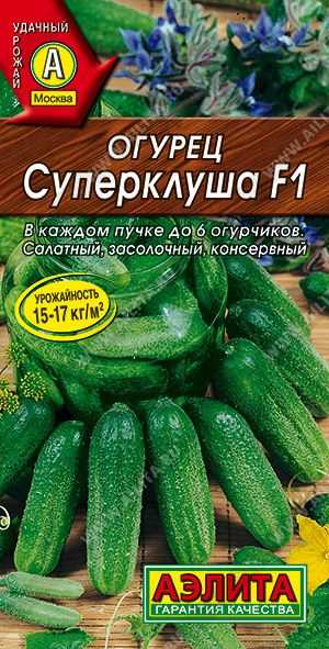 25250