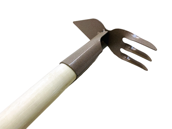 19543 (3)