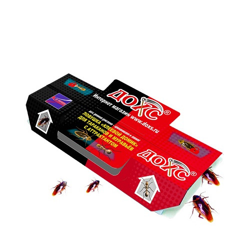 domik2-500x500