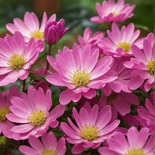 43d56dfc726d90dd471d7e4160173fd0_1