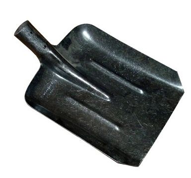 38101