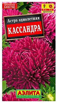 Цветы Астра Касандра ц/п Аэлита*27 Цветы Астра Касандра ц/п Аэлита*27