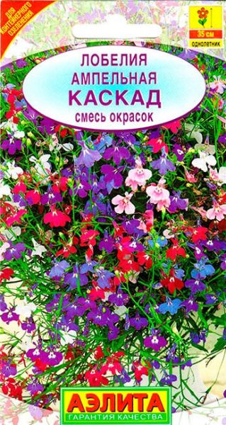 80453cc0c3403407c0f2c9b619af98c7 (1)