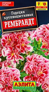 Цветы Годеция Рембрандт ц/п Аэлита*27 Цветы Годеция Рембрандт ц/п Аэлита*27