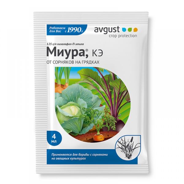 миура