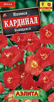 Цветы Ипомея Кардинал вьющаяся ц/п Аэлита *27 Цветы Ипомея Кардинал вьющаяся ц/п Аэлита *27