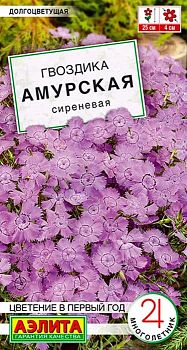 Цветы Гвоздика Амурская сиреневая ц/п Аэлита *27 Цветы Гвоздика Амурская сиреневая ц/п Аэлита *27