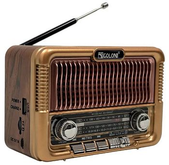 Радиоприемник+колонка RX6060 (ВТ+флешка,TWS) 1/5