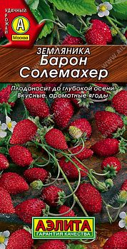 Земляника ремонтантная Барон Солемахер ц/п 0,04 Аэлита*28 Земляника ремонтантная Барон Солемахер ц/п 0,04 Аэлита*28