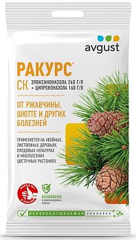 Ракурс 10 мл Август