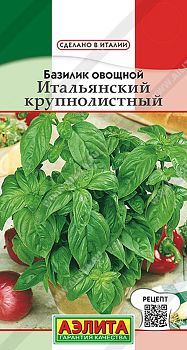 Базилик Итальянский крупнолистный ц/п Аэлита*29