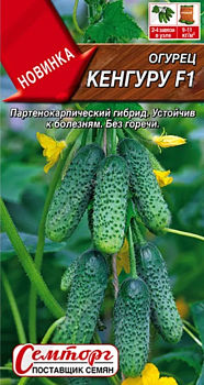 Огурец Кенгуру F1 ц/п Семторг*29