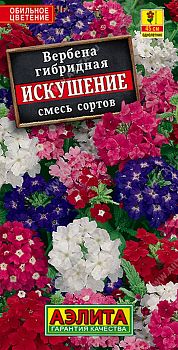 Цветы Вербена Искушение, смесь ц/п 40шт Аэлита*27 Цветы Вербена Искушение, смесь ц/п 40шт Аэлита*27