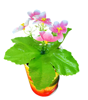 Георгин бордюрный 25см 10/100