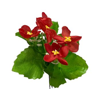 Георгин мелкий 25см 10/100