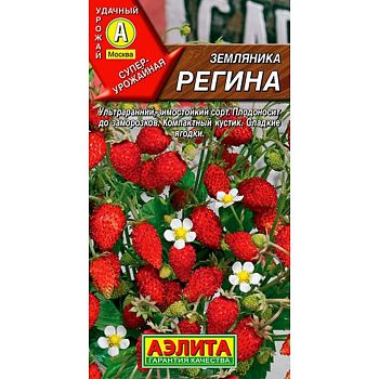 Земляника Регина ц/п Аэлита*28 Земляника Регина ц/п Аэлита*28