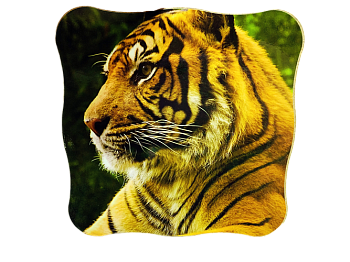 Подставка под горячее Новый Год Тигра 15*15см 1/300