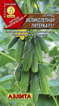 Огурец Великолепная пятерка F1 ц/п Аэлита*30