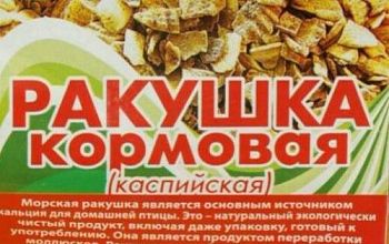 Ракушка каспийская 5кг