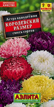 Цветы Астра Королевский размер, смесь ц/п Аэлита*29