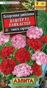 Цветы Пеларгония Дансер F2 Ланкастер, смесь сортов ц/п Аэлита *28 Цветы Пеларгония Дансер F2 Ланкастер, смесь сортов ц/п Аэлита *28