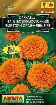 Цветы Бархатцы Виктори оранж F1 прямостояч ц/п Аэлита*27