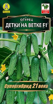 Огурец Детки на ветке F1 ц/п Аэлита*30
