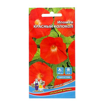 Цветы Ипомея Красный колокол ц/п Марс Цветы Ипомея Красный колокол ц/п Марс