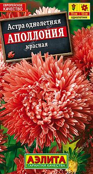 Цветы Астра Аполлония красная ц/п Аэлита*29