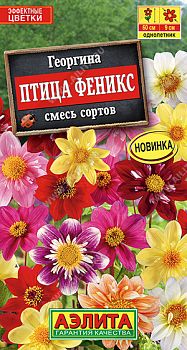 Цветы Георгина Птица Феникс, смесь сортов ц/п Аэлита *27 Цветы Георгина Птица Феникс, смесь сортов ц/п Аэлита *27