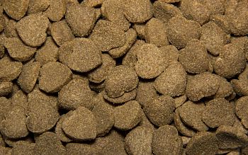 Корм для собак Говядина 15кг