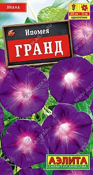 Цветы Ипомея Гранд ц/п  Аэлита*27 од Цветы Ипомея Гранд ц/п  Аэлита*27 од
