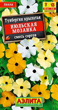 Цветы Тунбергияиюльская мозайка, смесь ц/п Аэлита*28