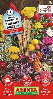 Цветы Смесь сухоцветов Зимняя радуга ц/п Аэлита*28