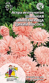 Цветы Астра Шальная императрица дикий лосось ц/п Марс (игольчатая)