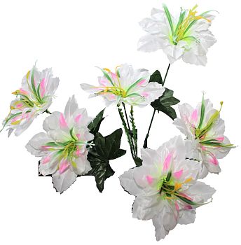 Георгин 50см 2/20