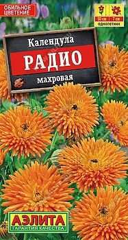 Цветы Календула Радио мах. ц/п Аэлита*28 од Цветы Календула Радио мах. ц/п Аэлита*28 од