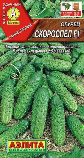 6b797893_e992_11e9_80e5_0cc47adb9c64_cdfe00f9_4434_11eb_80f5_0cc47adb9c64