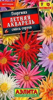Цветы Георгина Летняя акварель,смесь сортов ц/п Аэлита *28