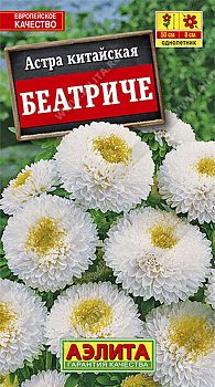 Цветы Астра Беатриче ц/п Аэлита*29 по 10шт