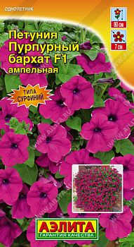 Цветы Петуния Пурпурный бархат F1 амп ц/п Аэлита*27 Цветы Петуния Пурпурный бархат F1 амп ц/п Аэлита*27