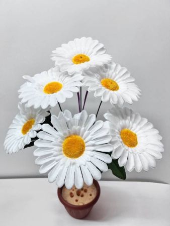 whatsapp-image-2025-04-09-at-11.57.45-2