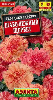 Цветы Гвоздика садовая Шабо Нежный щербет, смесь сортов ц/п Аэлита *28