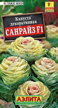 Цветы Капуста декоративная Санрайз F1 ц/п Аэлита *28