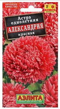 Цветы Астра Александрия красная ц/п Аэлита *29