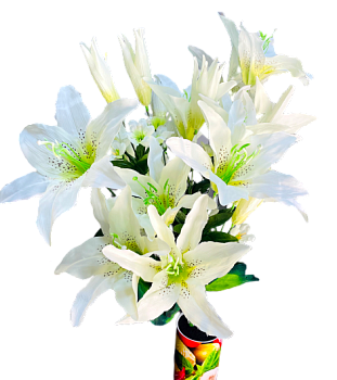 Лилия 22головы 65см 1/100