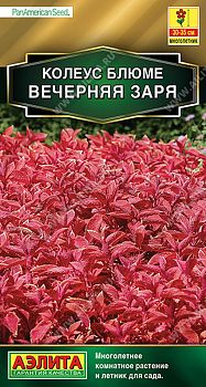 Цветы Колеус блюме Вечерняя заря ц/п Аэлита*28 Цветы Колеус блюме Вечерняя заря ц/п Аэлита*28
