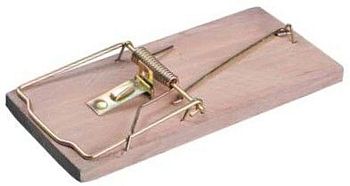 Мышеловка дерево 125*70 (50шт)